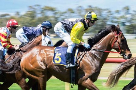 BUNBURY CUP 2020