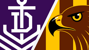 Round 18: Fremantle Dockers vs Hawthorn